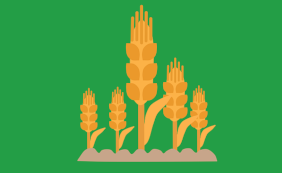Tema dneva