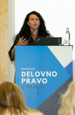 Dp2026 Profilna